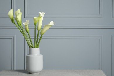 Photo of Beautiful calla lily flowers in vase on light gray table. Space for text