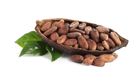 Photo of Composition with cocoa beans on white background