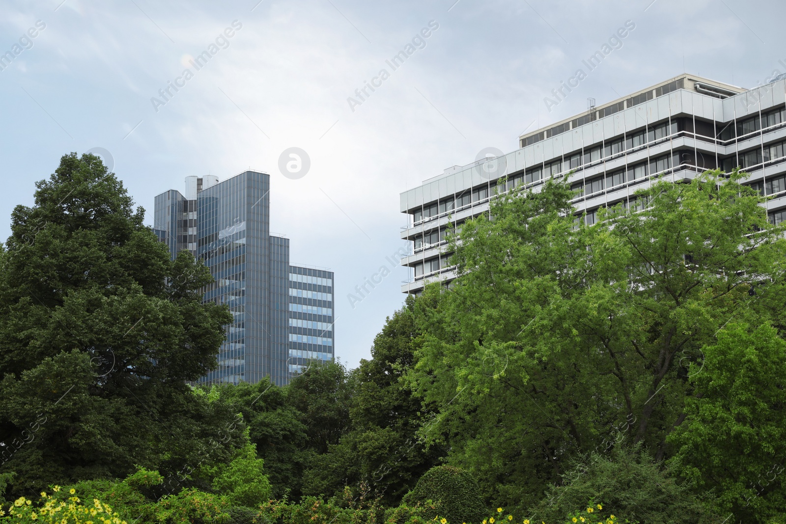 Photo of Beautiful view of buildings and green trees in city