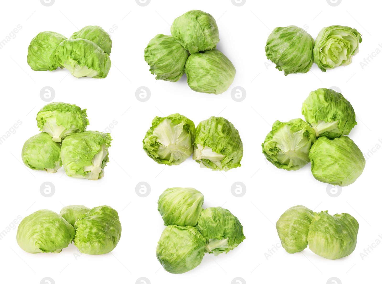 Image of Collage with fresh lettuce heads on white background