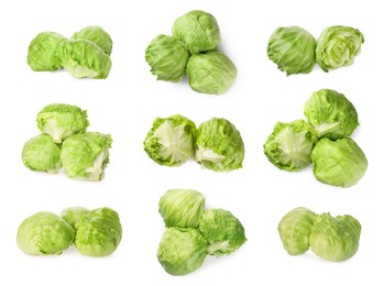 Collage with fresh lettuce heads on white background