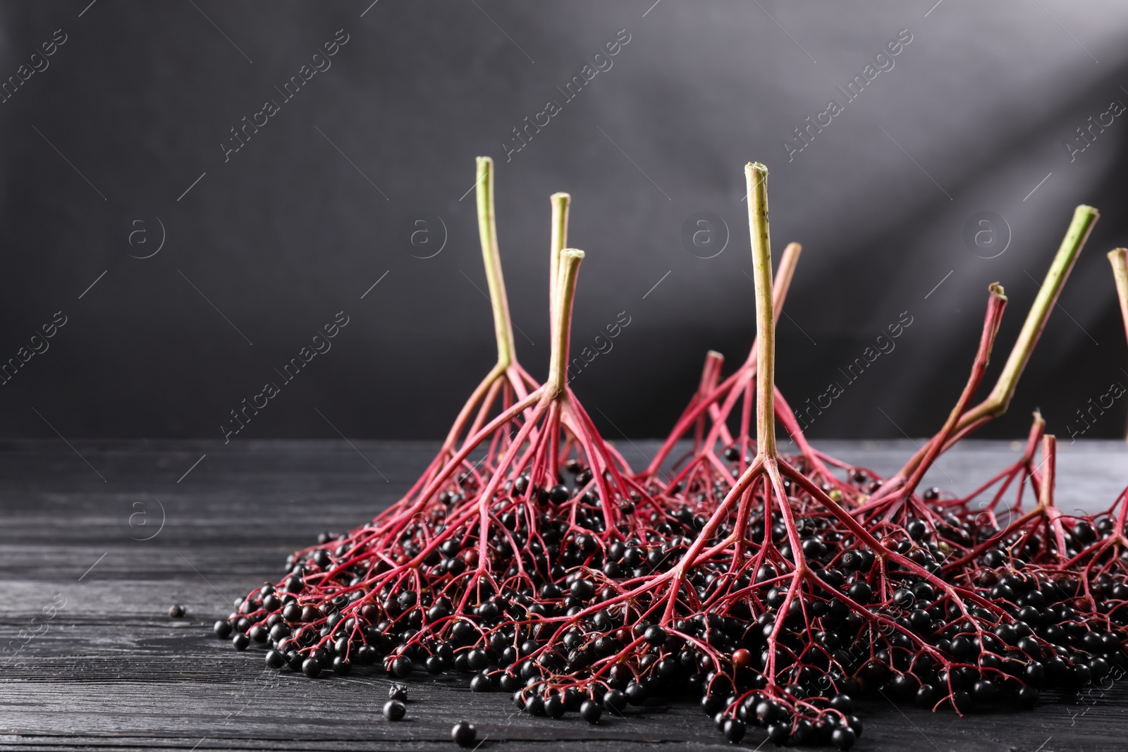 Photo of Bunches of ripe elderberries on black wooden table