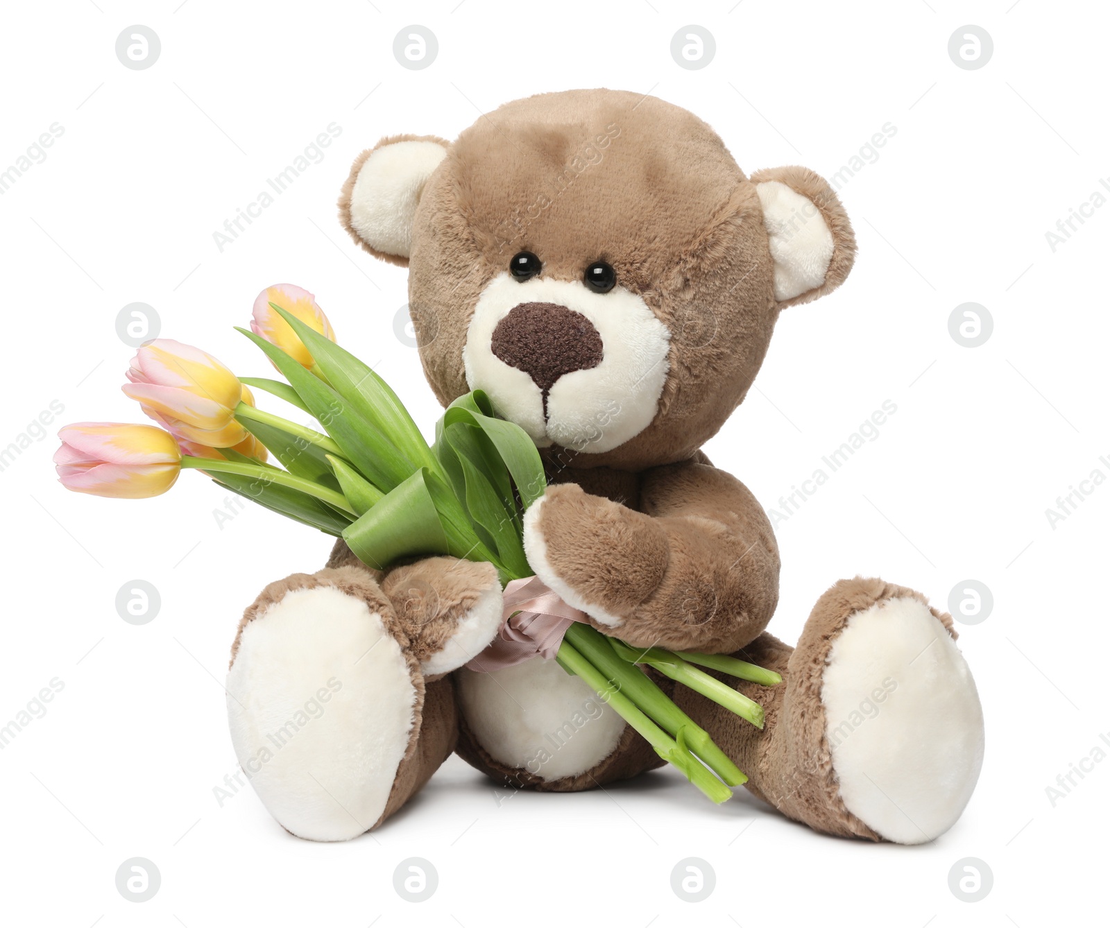 Photo of Cute teddy bear with beautiful tulips isolated on white