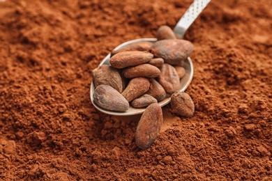 Spoon with beans on cocoa powder