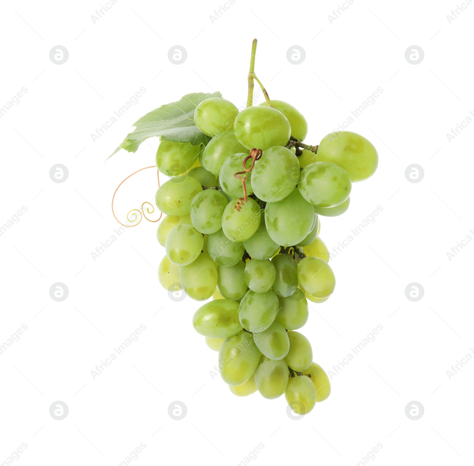 Photo of Fresh ripe grapes and leaf isolated on white