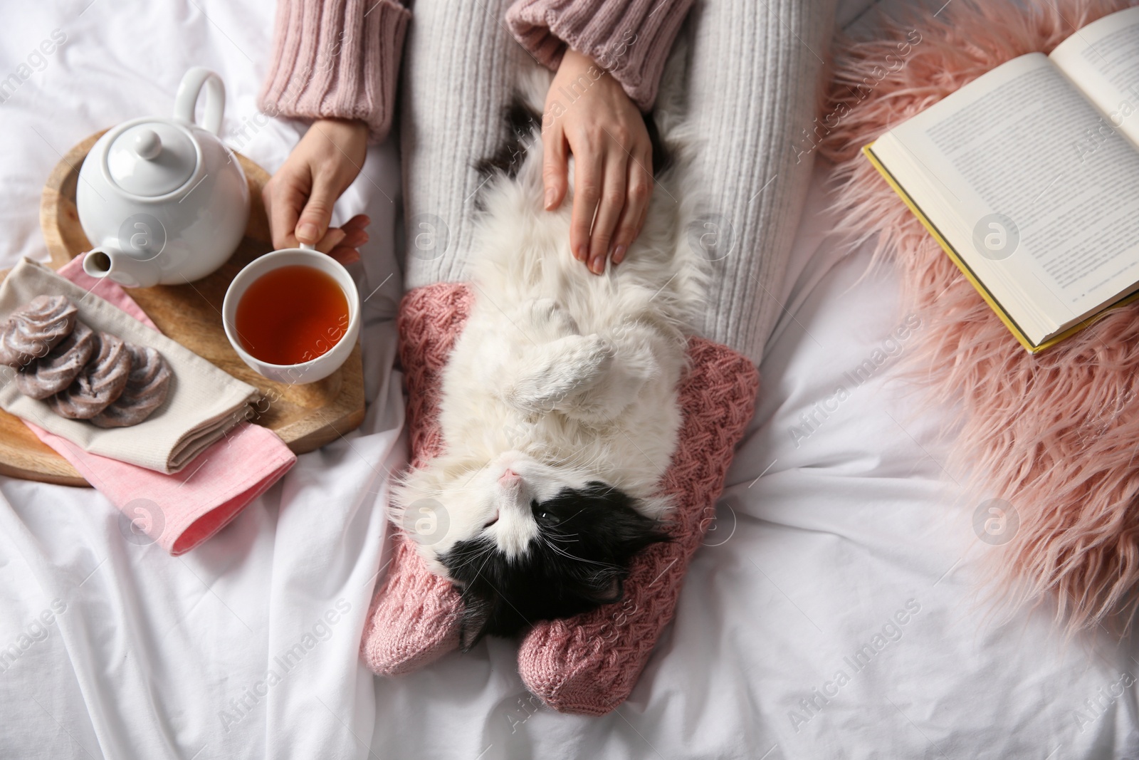 Photo of Woman stroking adorable cat on bed, top view