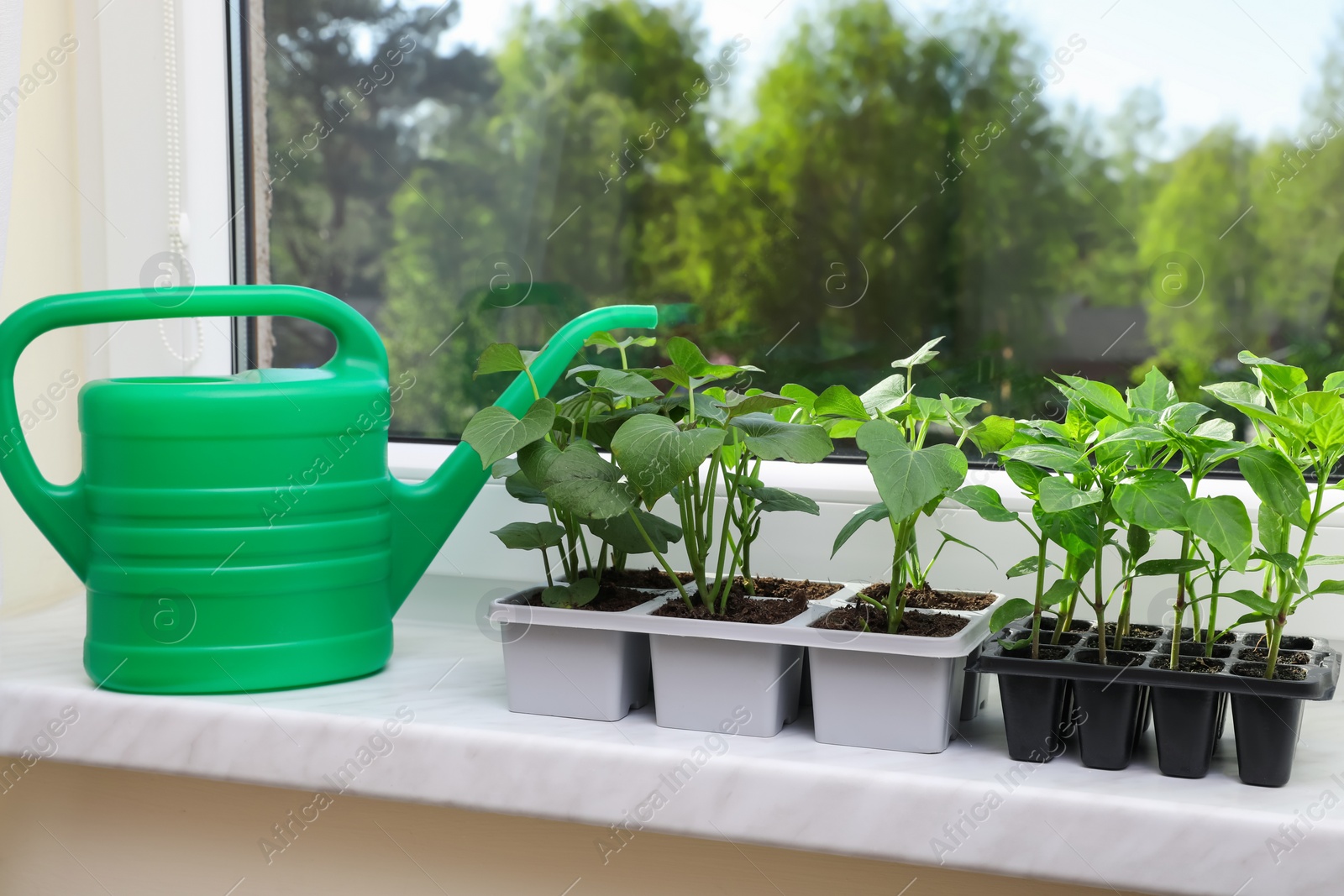 Photo of Seedlings growing in plastic containers with soil and watering can on windowsill indoors