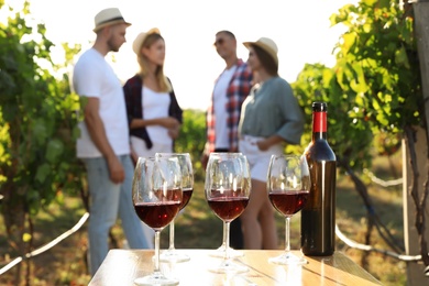 Bottle of red wine with glasses on wooden table and friends in vineyard