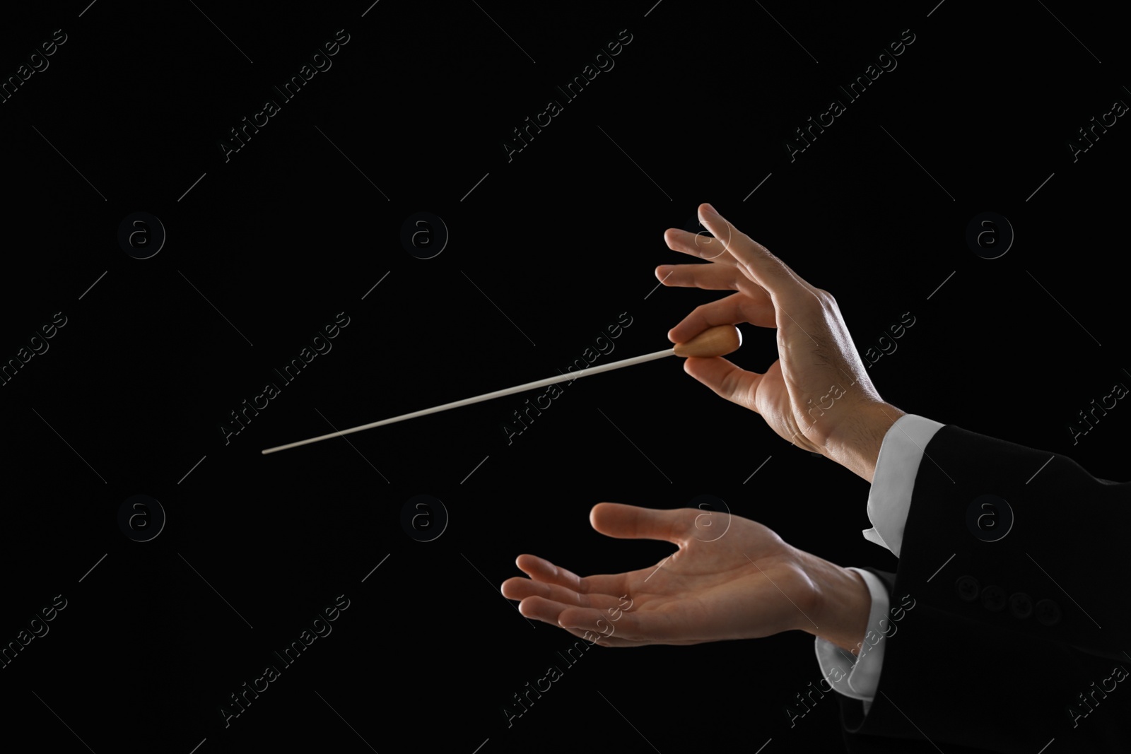 Photo of Professional conductor with baton on black background, closeup. Space for text