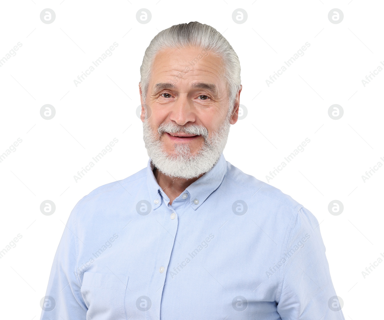 Image of Portrait of handsome senior man isolated on white