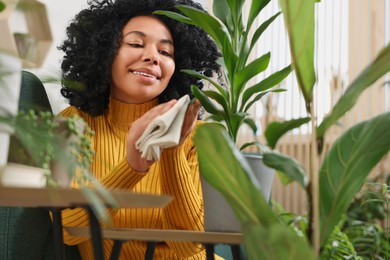 Happy woman wiping leaf of beautiful potted houseplant indoors