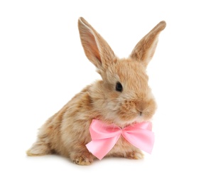 Photo of Adorable furry Easter bunny with cute bow tie on white background