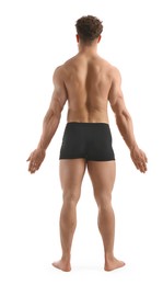 Man with muscular body on white background, back view