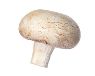 Photo of Fresh champignon mushroom isolated on white. Healthy food