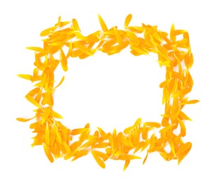 Frame of beautiful calendula petals on white background, top view. Space for text