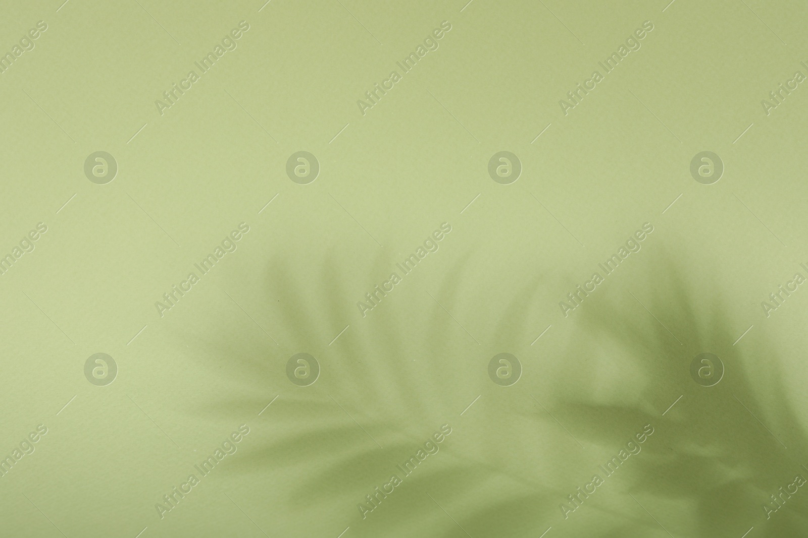 Photo of Presentation of product. Shadows on light green background. Space for text