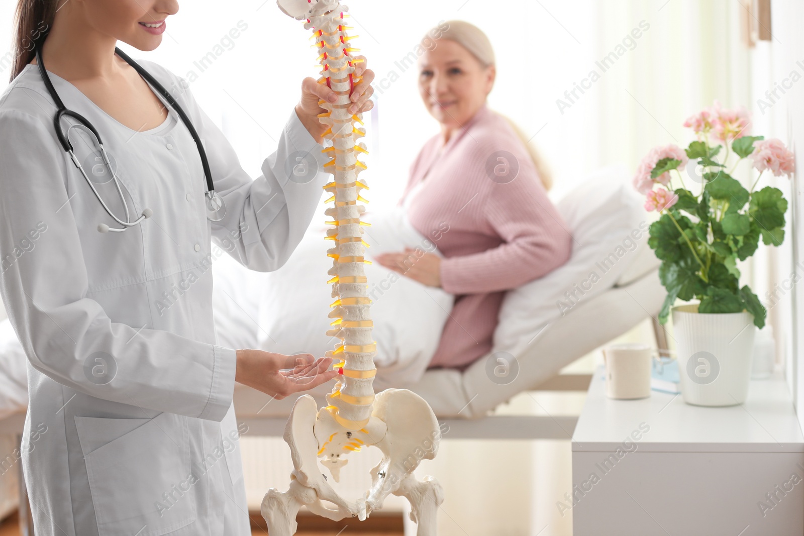 Photo of Female orthopedist explaining structure of spine to patient in clinic, closeup