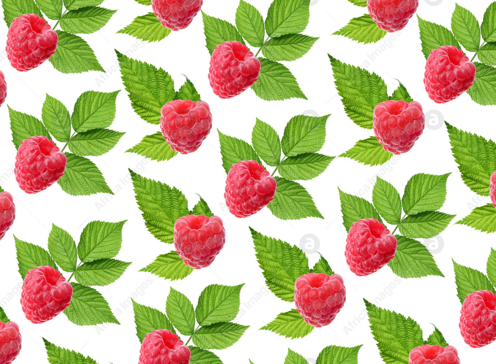 Image of Pattern of fresh ripe raspberries and green leaves on white background