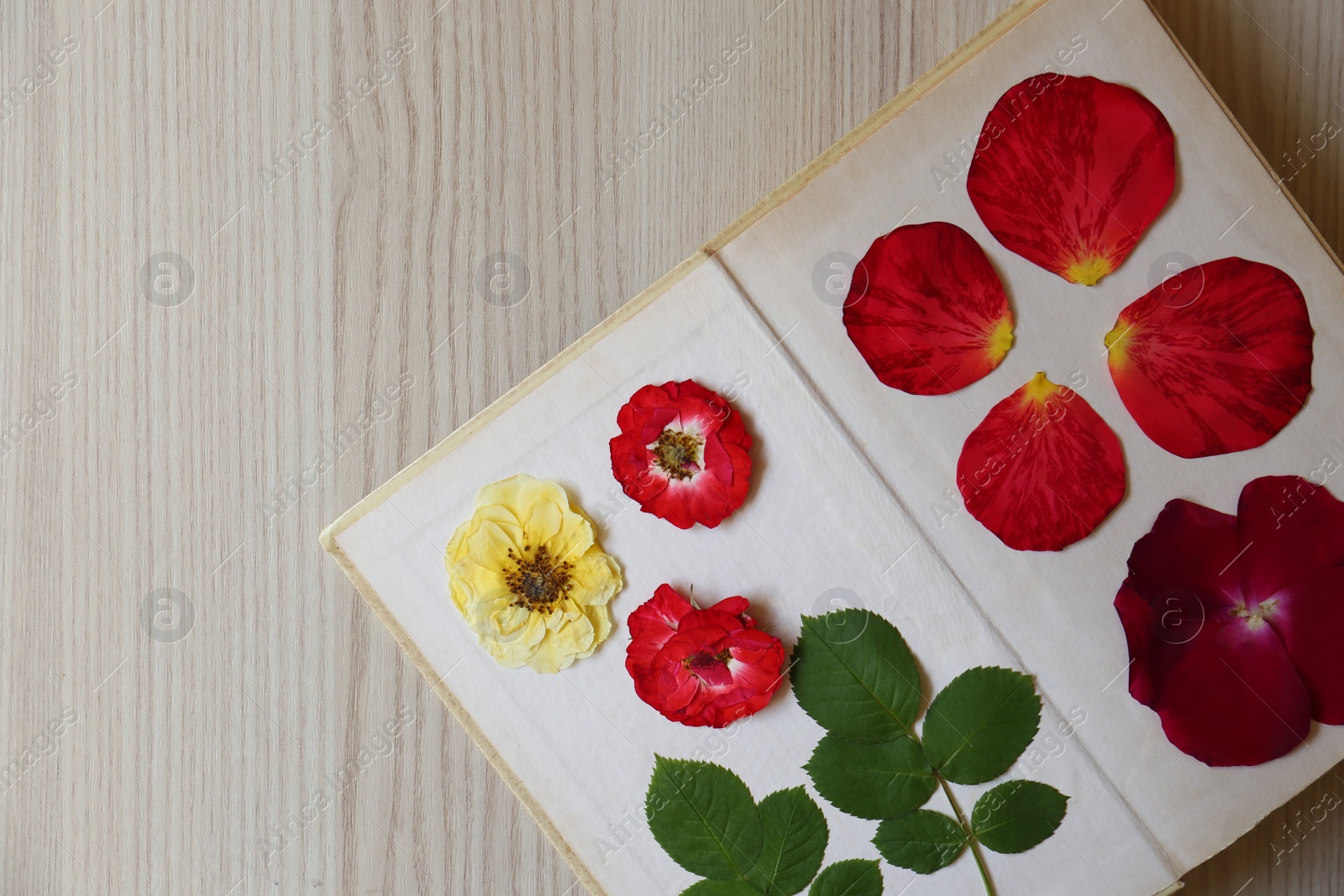 Photo of Book with beautiful flowers, leaves and petals prepared for drying on wooden table, top view