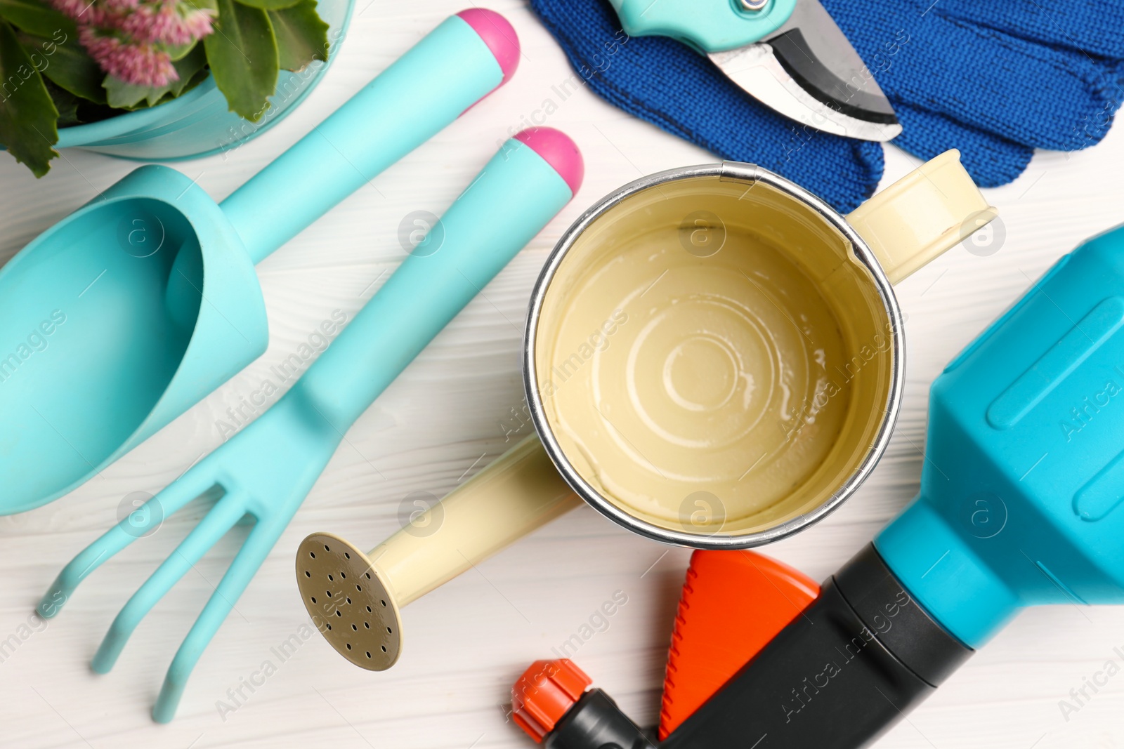 Photo of Flat lay composition with watering can and gardening tools on white wooden table