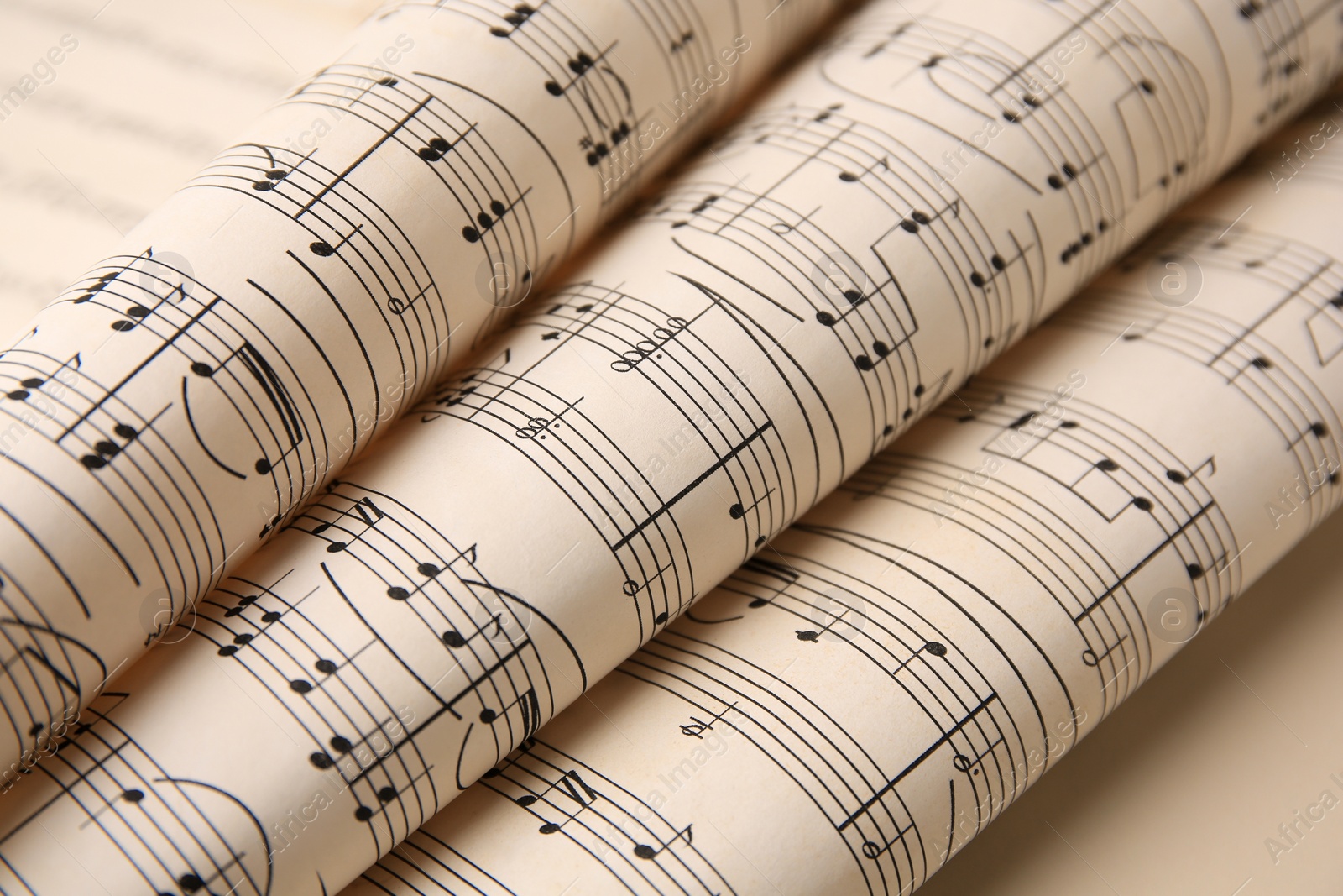 Photo of Rolled sheets with music notes on light background, closeup