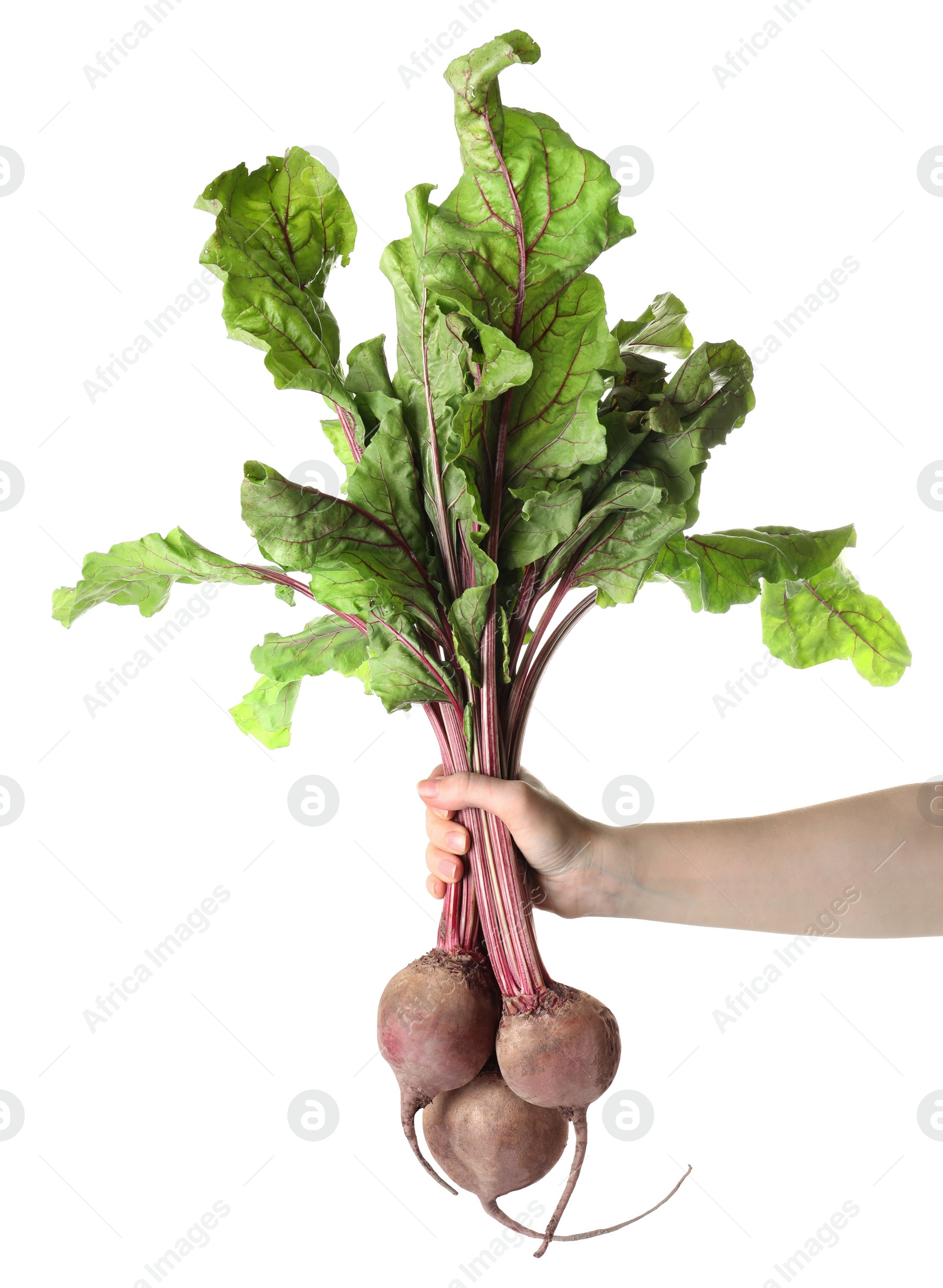 Photo of Woman holding raw ripe beets on white background, closeup