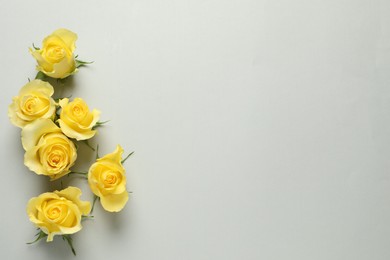 Beautiful yellow roses on light grey background, flat lay. Space for text