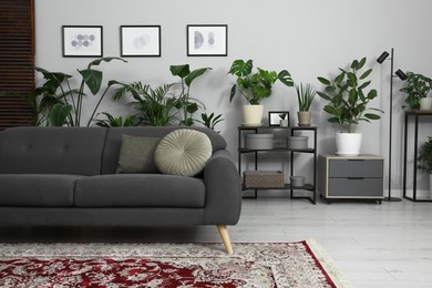 Photo of Cozy room interior with stylish furniture, houseplants and decor elements