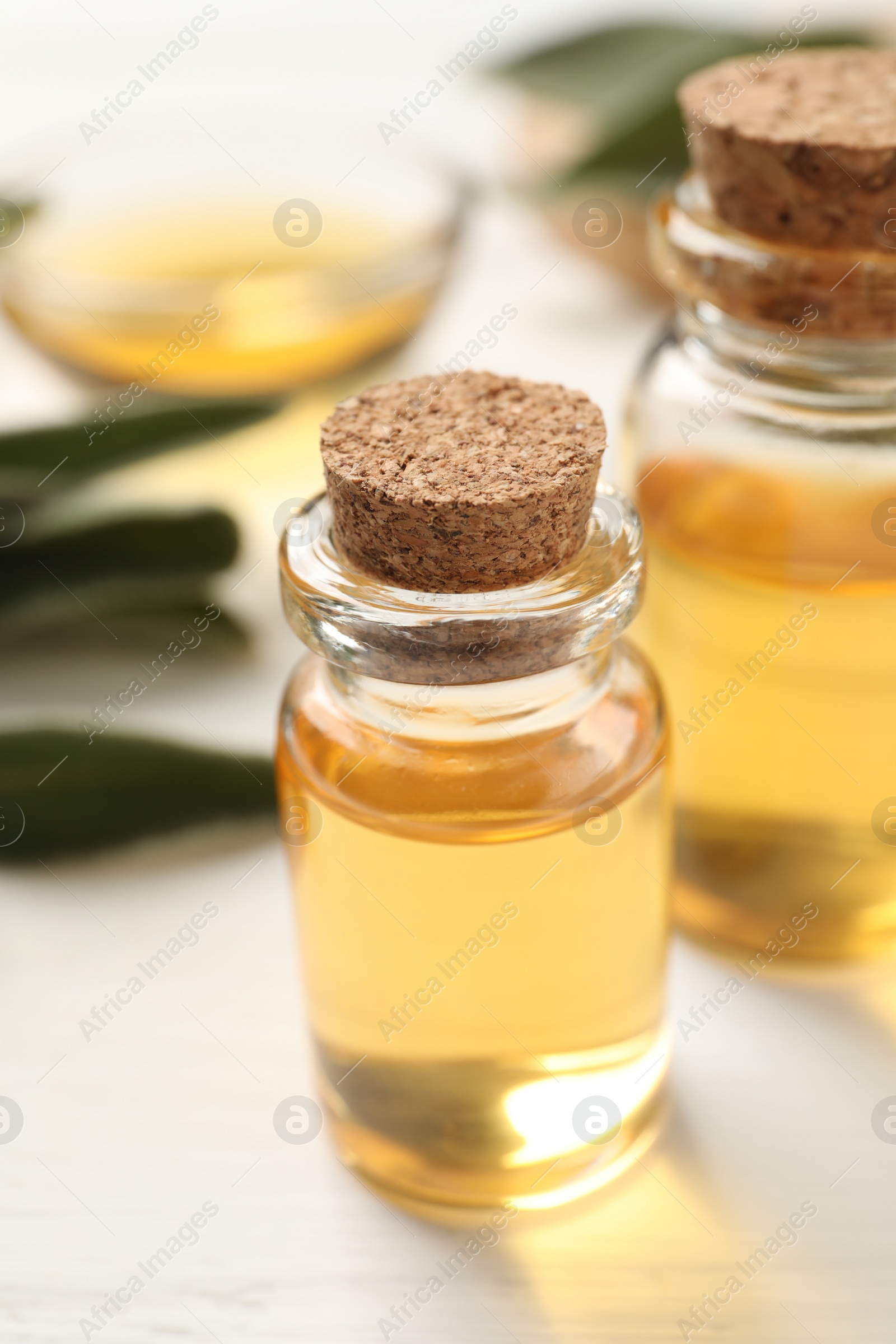 Photo of Bottles of sage essential oil on white table, closeup
