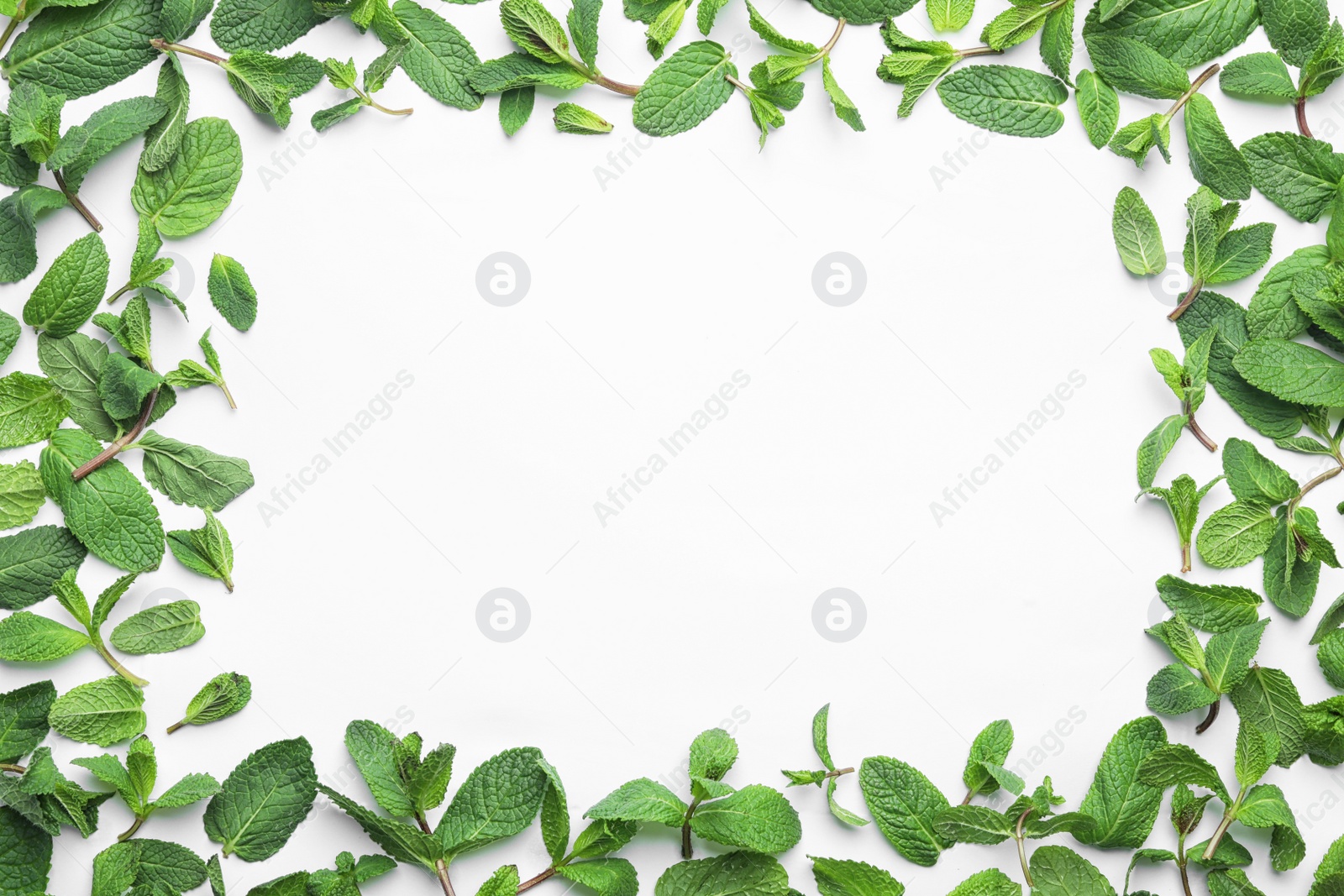 Photo of Frame made of fresh green mint leaves on white background, top view. Space for text