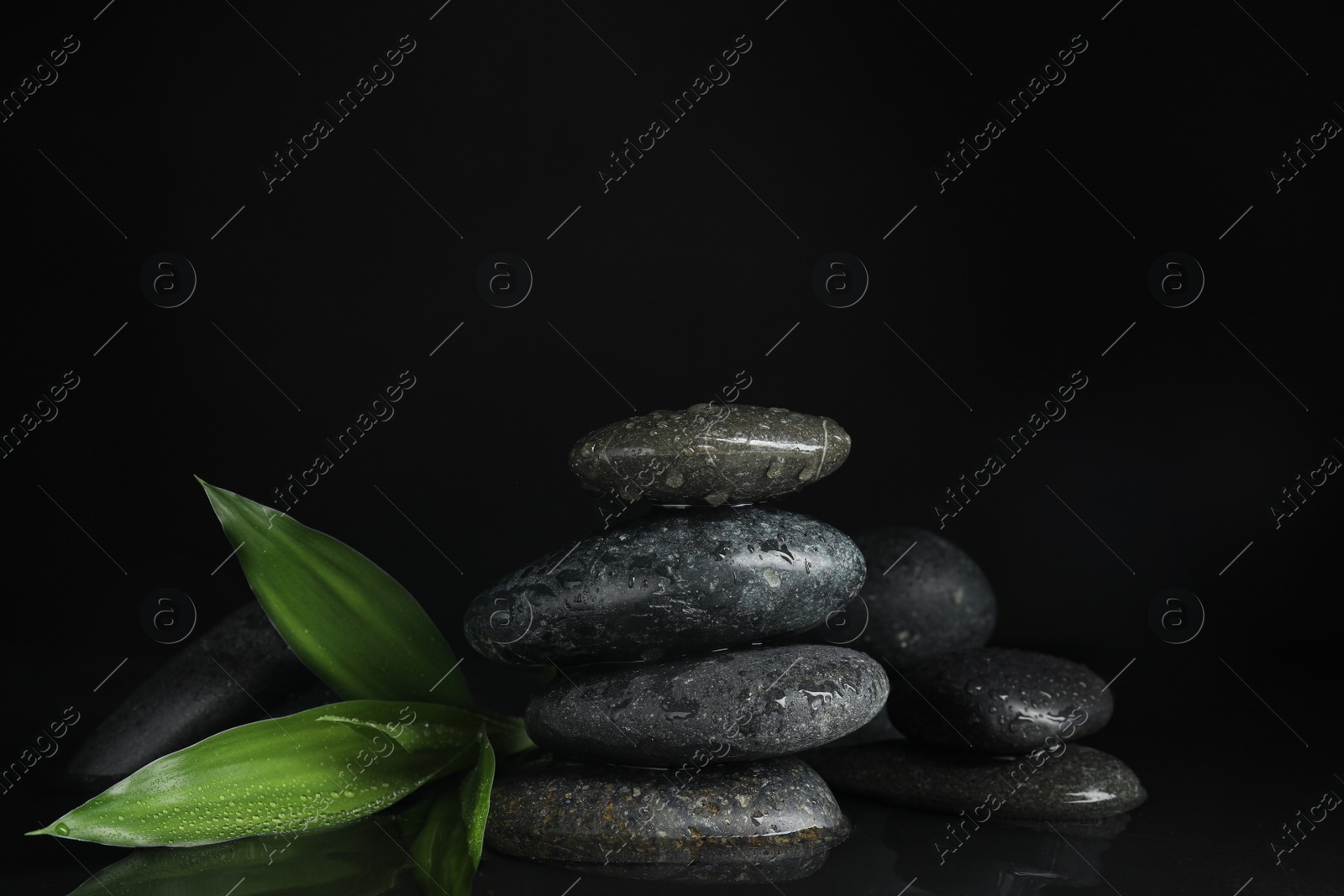 Photo of Stones and bamboo sprout in water on black background. Zen lifestyle