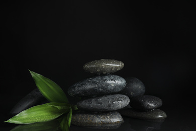 Photo of Stones and bamboo sprout in water on black background. Zen lifestyle