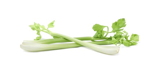 Photo of Fresh green celery stems isolated on white