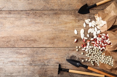 Vegetable seeds and gardening tools on wooden table, flat lay. Space for text