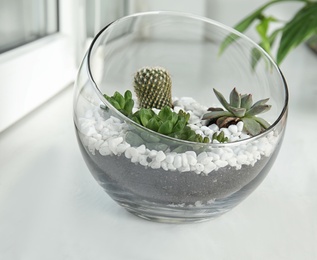 Glass florarium with different succulents on windowsill