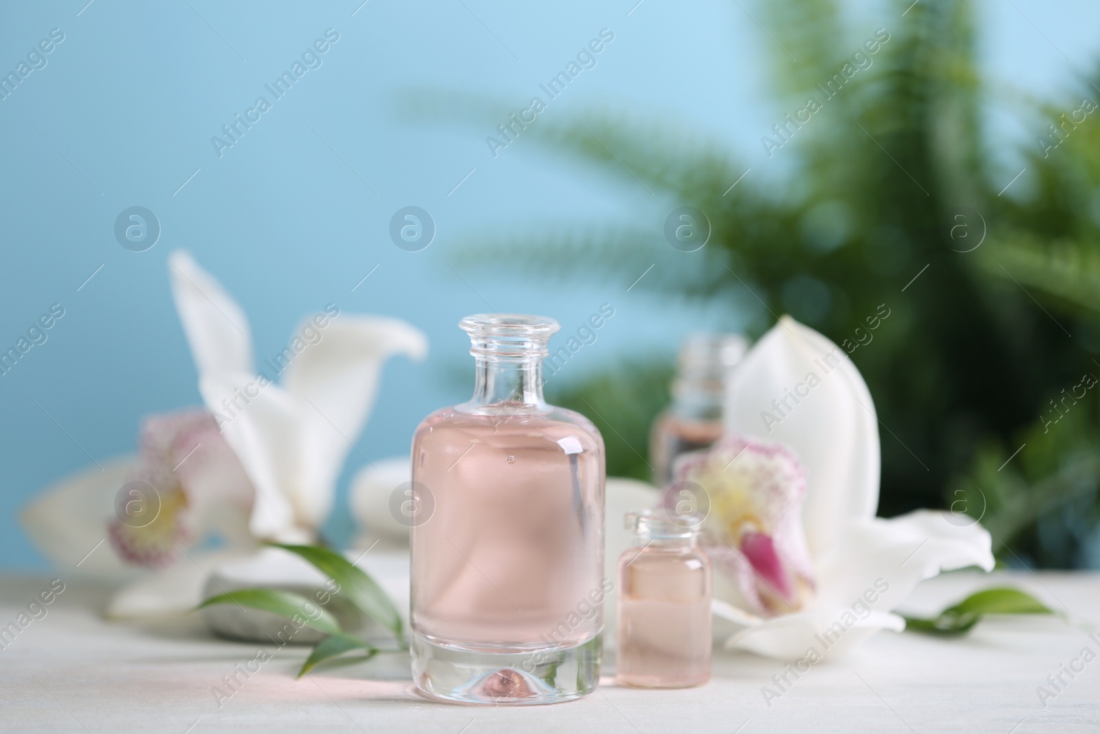 Photo of Beautiful spa composition with essential oil on white table, closeup