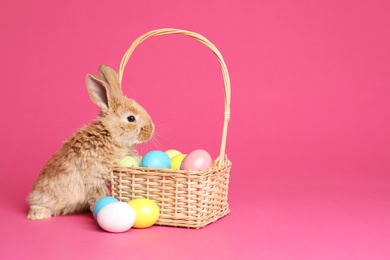 Photo of Adorable furry Easter bunny near wicker basket and dyed eggs on color background, space for text