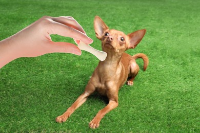 Image of Woman giving tasty bone shaped cookie to her dog outdoors, closeup