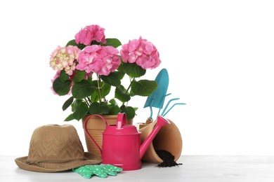 Photo of Beautiful blooming plant, garden tools and accessories on white background