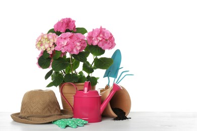 Beautiful blooming plant, garden tools and accessories on white background