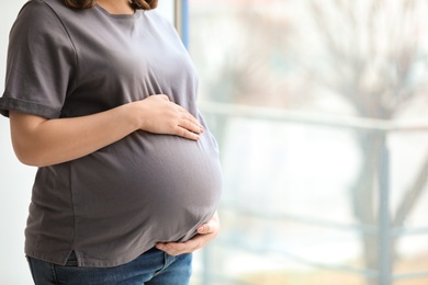 Young pregnant woman near window at home