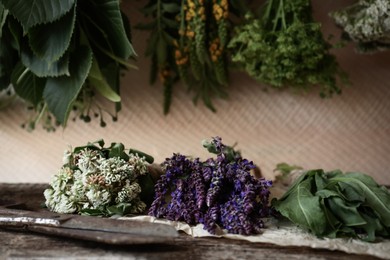 Photo of Bunches of different beautiful dried flowers on wooden table near beige wall