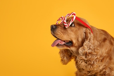 Photo of Adorable Cocker Spaniel dog in party glasses on yellow background, space for text