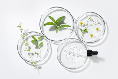 Photo of Petri dishes with different plants and cosmetic product on white background, top view
