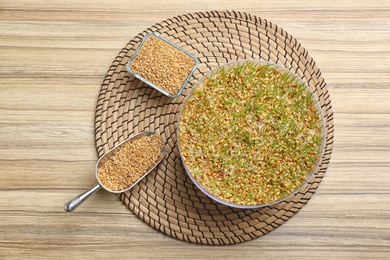 Flat lay composition with growing wheat grass on table