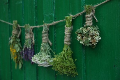 Photo of Bunches of different beautiful dried flowers hanging on rope near green wooden wall