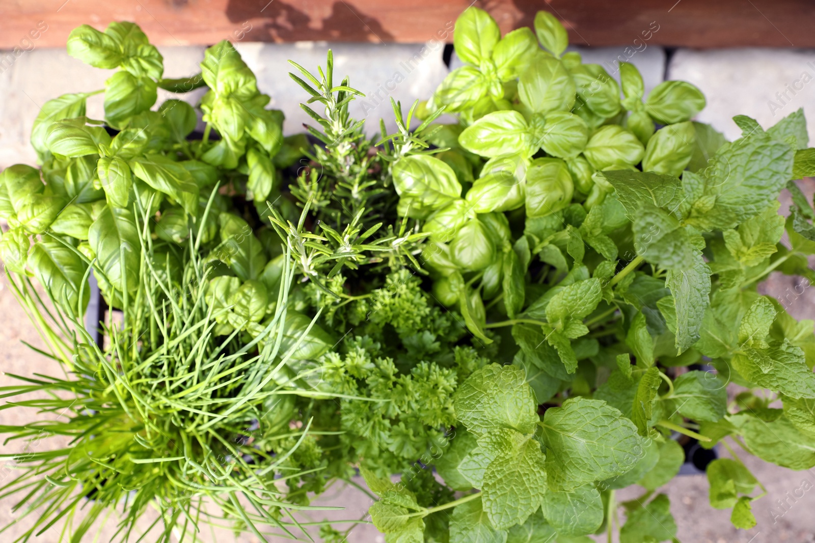 Photo of Different aromatic herbs in crate outdoors, top view
