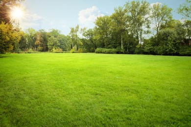 Photo of Beautiful view of public city park with green grass and trees