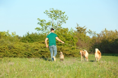 Young man walking his adorable Akita Inu dogs in park