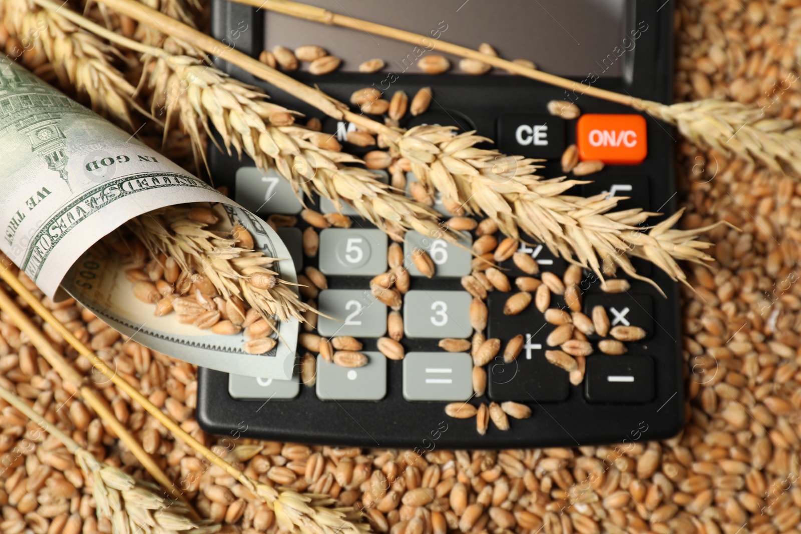 Photo of Dollar banknote, calculator and wheat ears on grains, closeup. Agricultural business